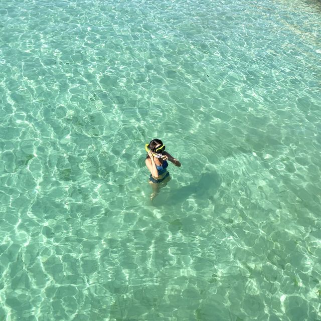 사람 없는 판포포구 가고싶은 사람🙋🏻‍♀️🏝🌴🌊