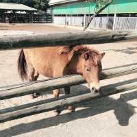 南台灣最大的野生動物園