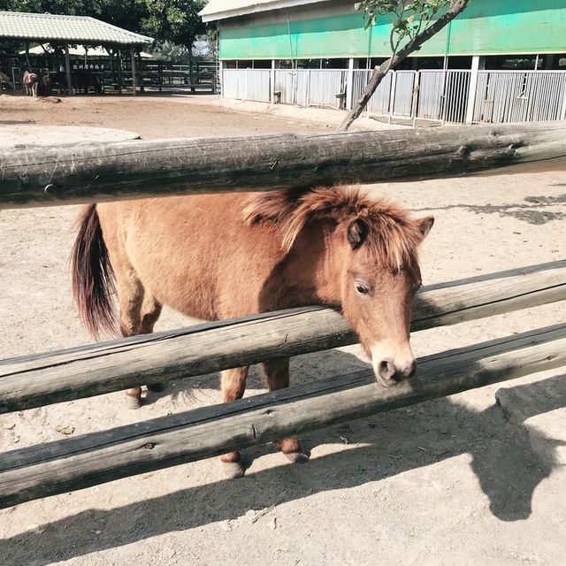 南台灣最大的野生動物園