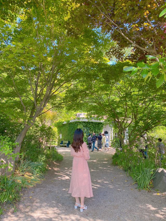 폐교를 개조하여 만든 미술관 ‘당진 아미미술관’ 🏫