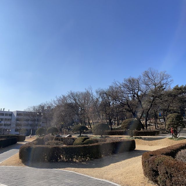 yonsei!