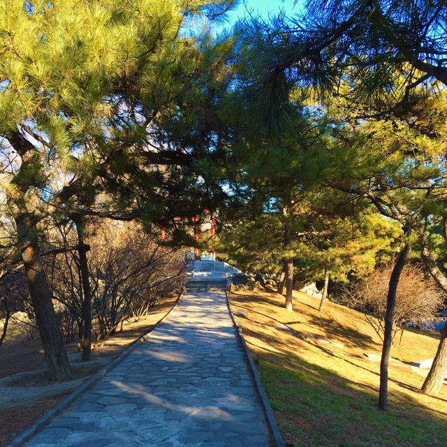 Let’s go outside to visit Ritan Park together