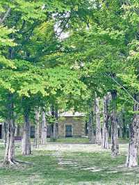 群馬＊群馬県立館林美術館