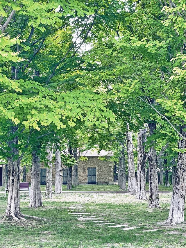 群馬＊群馬県立館林美術館