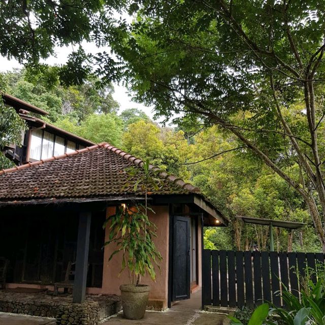 Danau Daun Chalets 