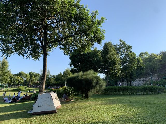 Recommended place to go for picnic before winter comes