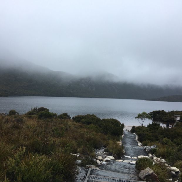 Cradle Mountain Beauty