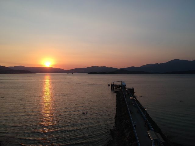 日色真美🌇