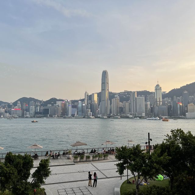 M+博物館｜欣賞展品｜打卡｜吸收新事物