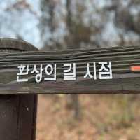 인천바다 해상 데크길 추천