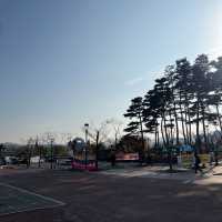 韓国/大田　ソウルからKTXで1時間！大田駅