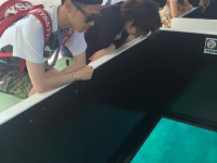 旅遊推介 沖繩站-部瀨名海中公園