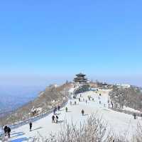 곤도라타고 쉽게 만나볼 수 있는 겨울왕국❄️