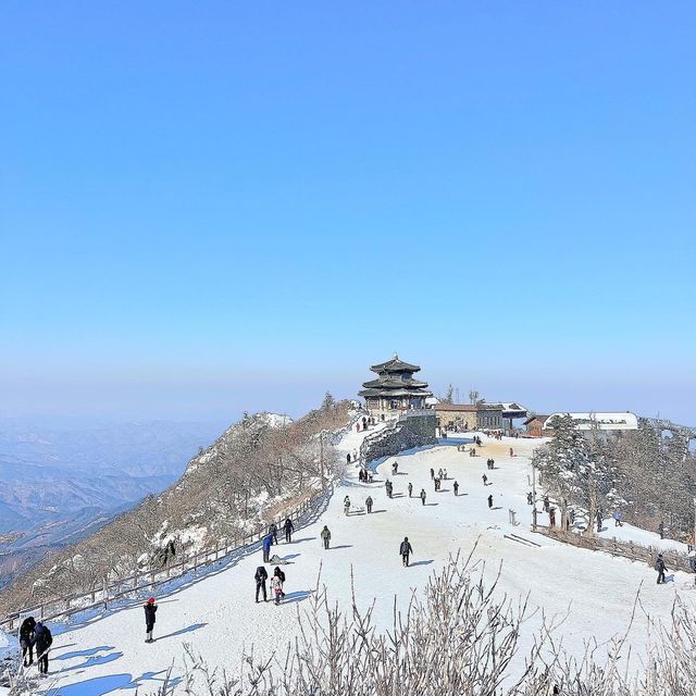 곤도라타고 쉽게 만나볼 수 있는 겨울왕국❄️