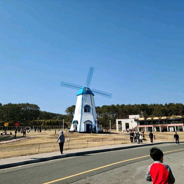 겨울 바다를 보며 걷기 좋았던 울산 간절곶