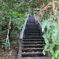キャメロンハイランドの中心部から気軽に行けるハイキングコース　Taman Eko Rimba Parit Falls H