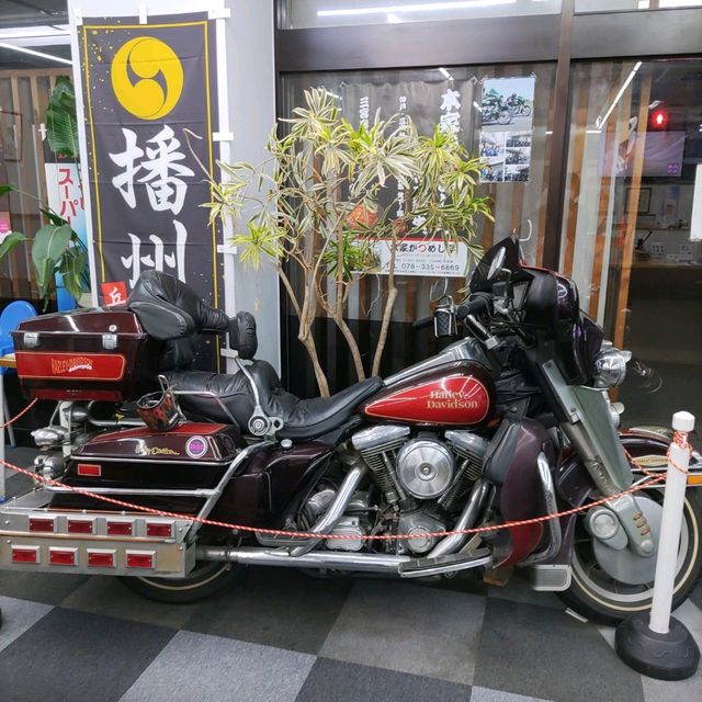 兵庫県！かつめし食べるなら本家かつめし亭へ