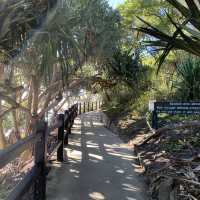 Beautiful Burleigh Heads 