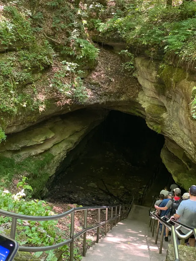 Mammoth Cave National Park