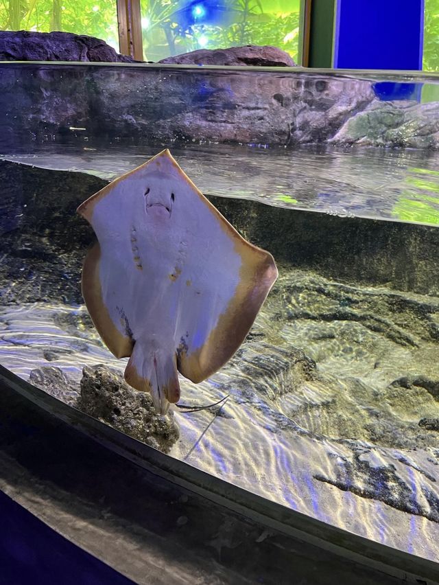 Underwater World - Langkawi, Malaysia 