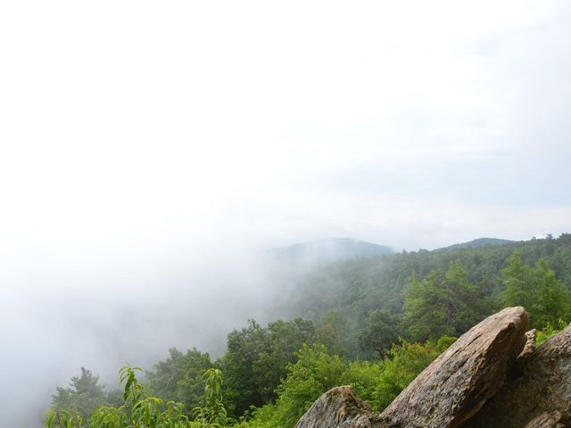 Shenandoah National park - USA