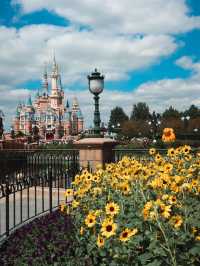 Halloween Arrives at Shanghai Disneyland🎃