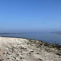 Fairlie beach