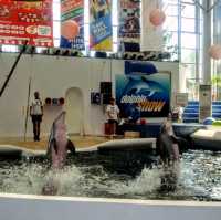 Varna Dolphinarium