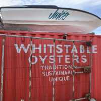惠斯塔布 Whitstable 海邊生蠔小鎮一日散步遊