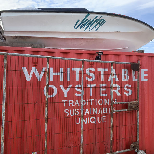 惠斯塔布 Whitstable 海邊生蠔小鎮一日散步遊