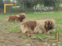 🇬🇧 Glasgow · 近距離接觸蘇格蘭高地牛牛