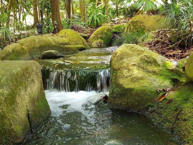 Holiday at Botanic Gardens Singapore