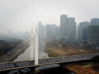 Shangbo Bridge- International Trade City View