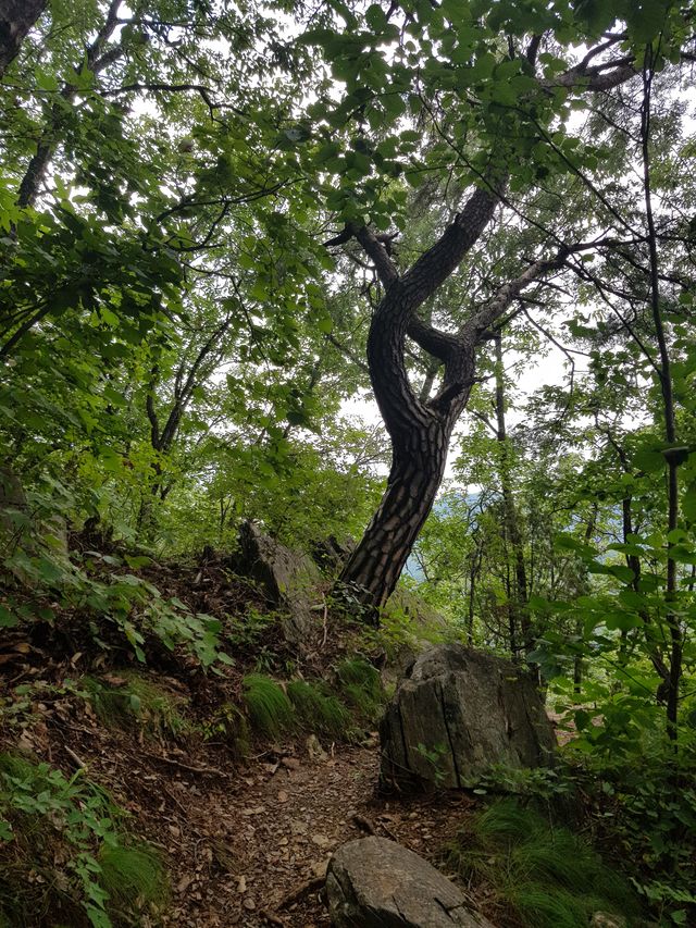 정선여행 백운산 등산 