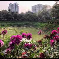 Gulshan Lake Park 