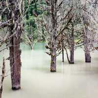 Beautiful Mountain Lake in West-Sichuan