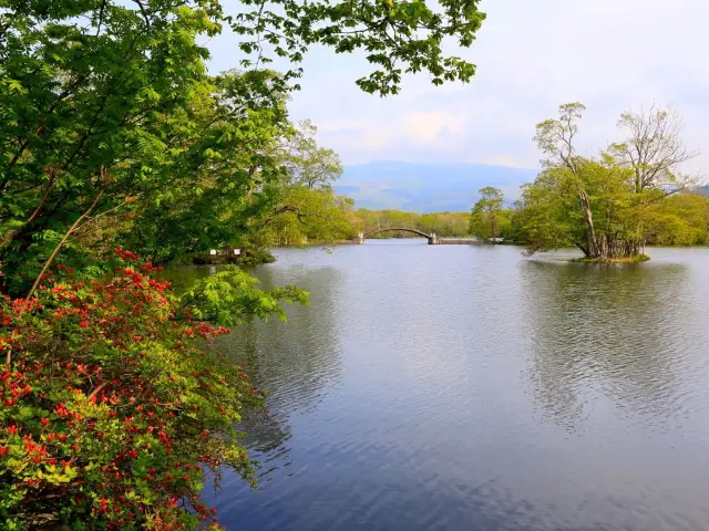 北海道大沼國定公園