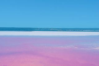 Herten Lake's pinkness