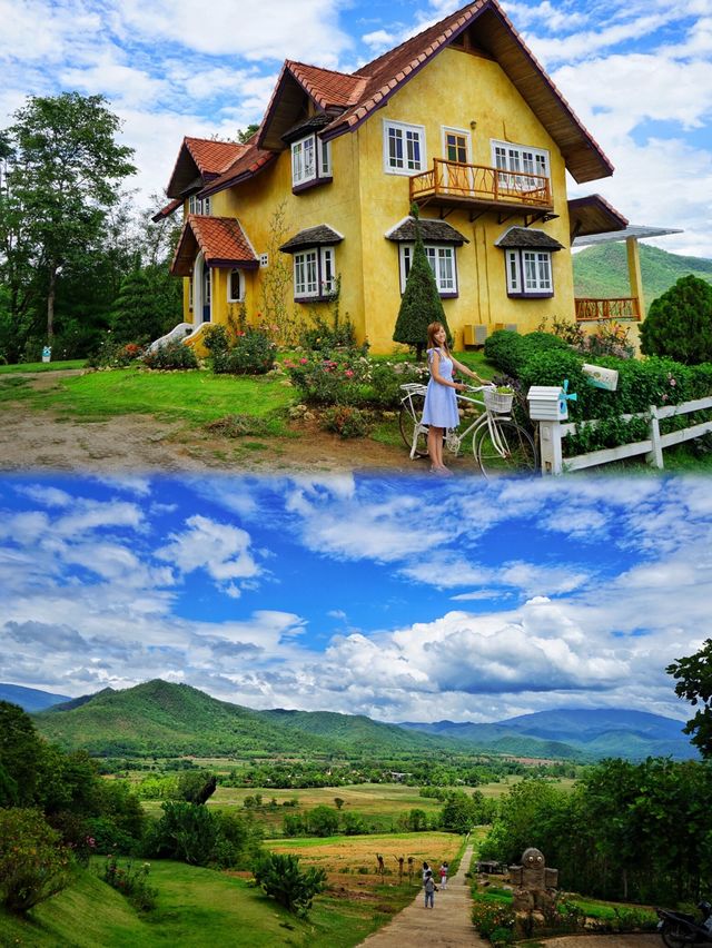 Thailand | For this big tree, I will go to Pai County again.