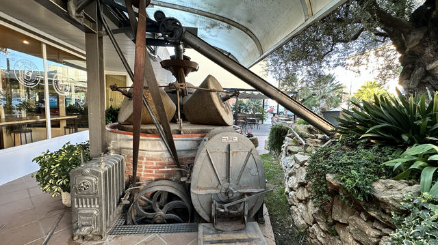 Olive oil extraction equipment Trull de Serveis Penedè