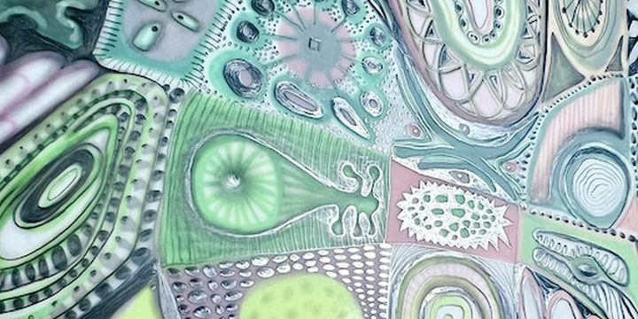 Biomorphia VIII w/Lea Anderson | Harwood Art Center