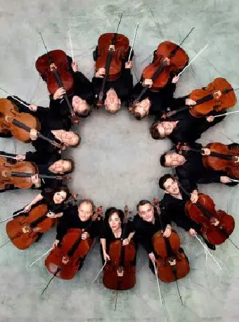 柏林愛樂12把大提琴音樂會｜音樂會 | 深圳音樂廳-演奏大廳