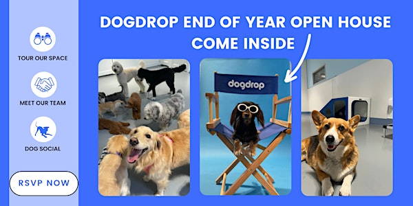 End of the Year Open House at Dogdrop - Flagler Village | Dogdrop Dog Day Care Flagler Village