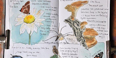 Nature Journaling with Sharon - 27 April PP | Paxton Pits Environmental Education Centre,