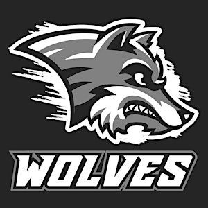 WOLVES BSC SOFTBALL TRYOUTS | Gordon F. Moore Community Park