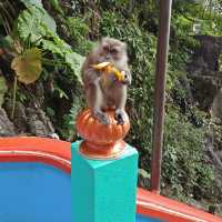 Batu Caves Malaysia 