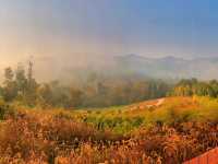Campiness Camping & Farmsook