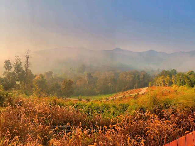 Campiness Camping & Farmsook