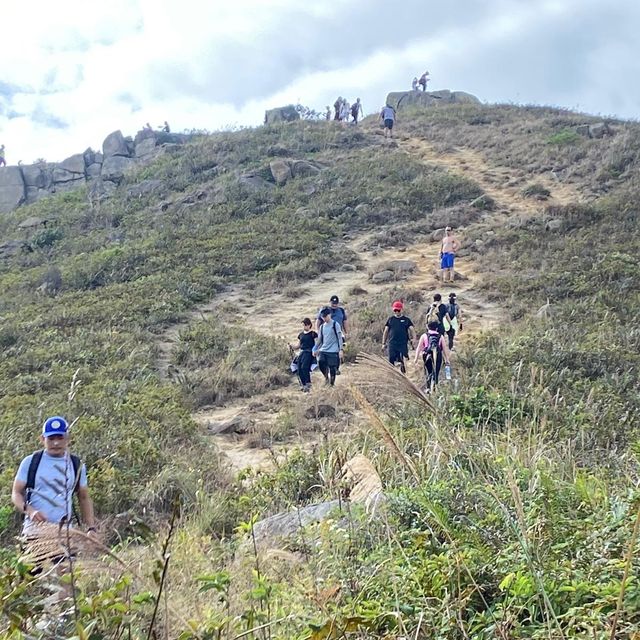 愉景灣芒草之旅｜老虎頭