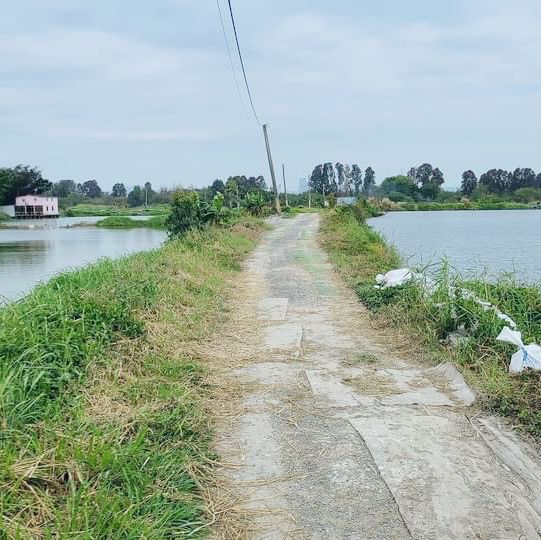 南生圍橫水渡 南生圍橫水渡